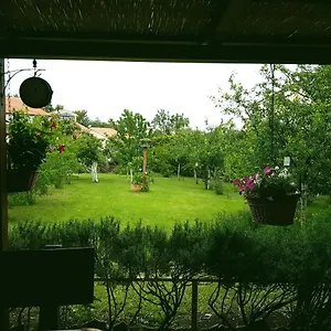 Greenhill , Pola Croazia